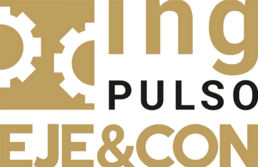 Programa ing-PULSO